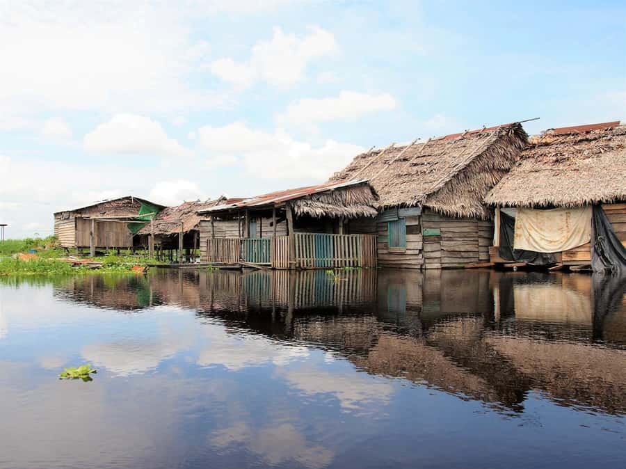 From Puerto Maldonado - Tambopata 4D/3N - Should you book Andean eirl for Tambopata 4D/3N?