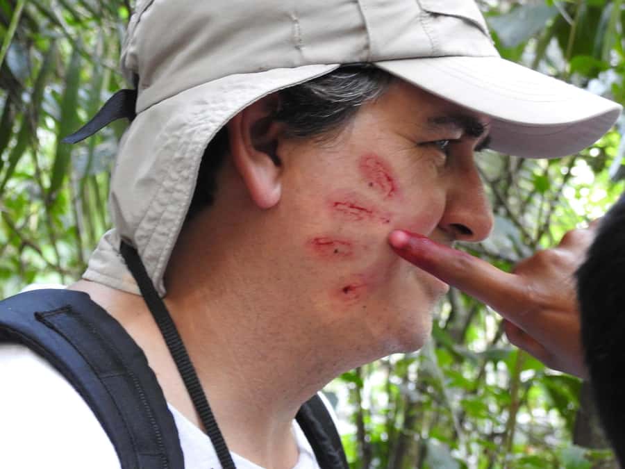 From Puerto Maldonado: Tambopata National Reserve 3-Day Tour - Who this tour suits best, and who should think twice