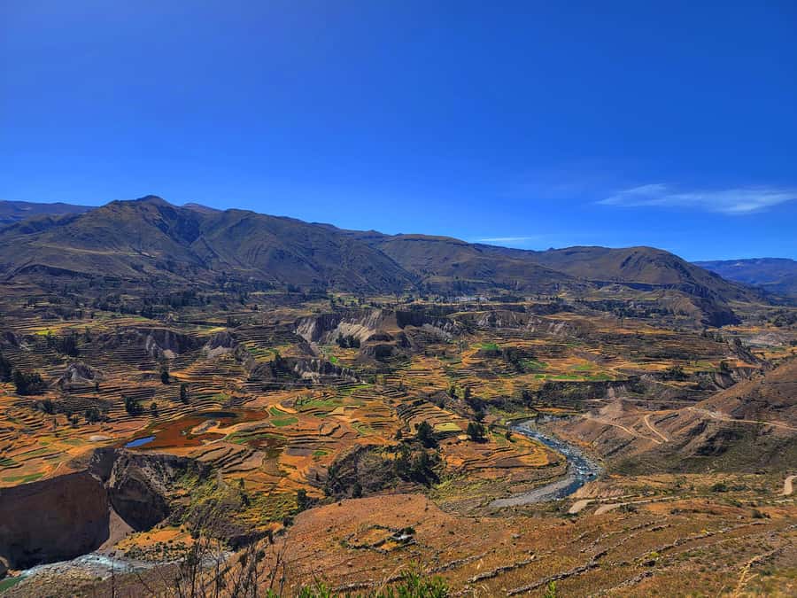 From Puno: 2-Day Tour to Colca Canyon ending in Arequipa - La Calera Hot Springs, Why a Soak Here Feels Like Part of the Itinerary
