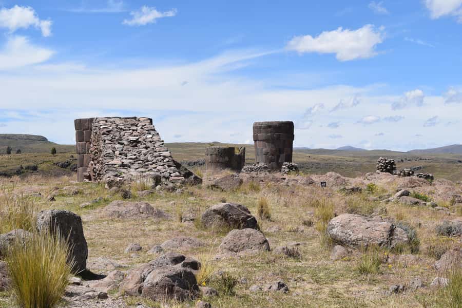 From Puno: 4h tour to Sillustani - The drive to Sillustani: llamas, open grasslands, and gentle climb