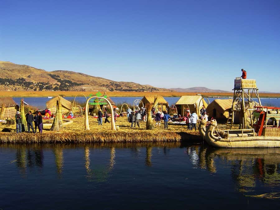 From Puno: Floating Islands of the Uros Half-Day Tour - Totora up close: how the islands are built and maintained