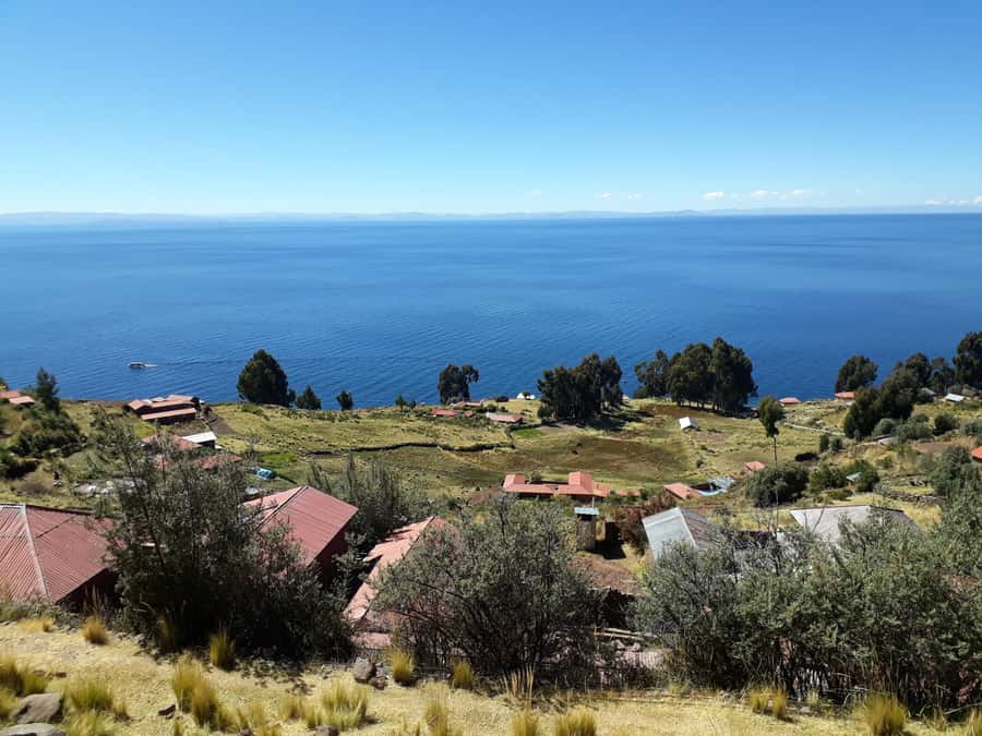 From Puno: full day tour to Uros and Taquile with Lunch - Price and logistics: what $28 really covers