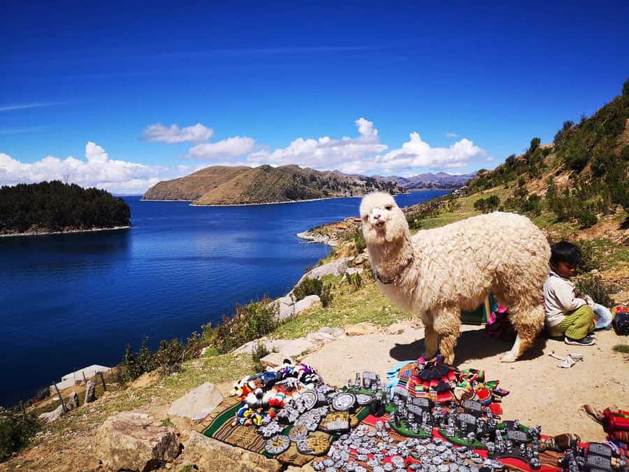 From Puno: Sun Island and Copacabana 1-Day Tour - Copacabana’s sanctuary, lunch, and how to use your free time
