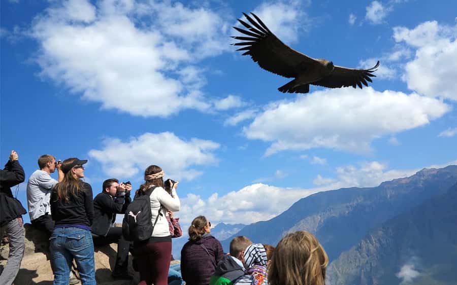 From Puno to Arequipa: 2 Days/1 Night Colca Canyon Tour - Key highlights worth your time