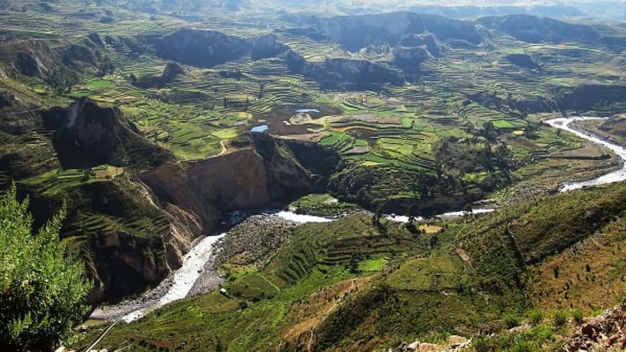 From Puno to Arequipa: 2 Days/1 Night Colca Canyon Tour - The core idea: cram Colca Canyon, condors, and Chivay into 2 days