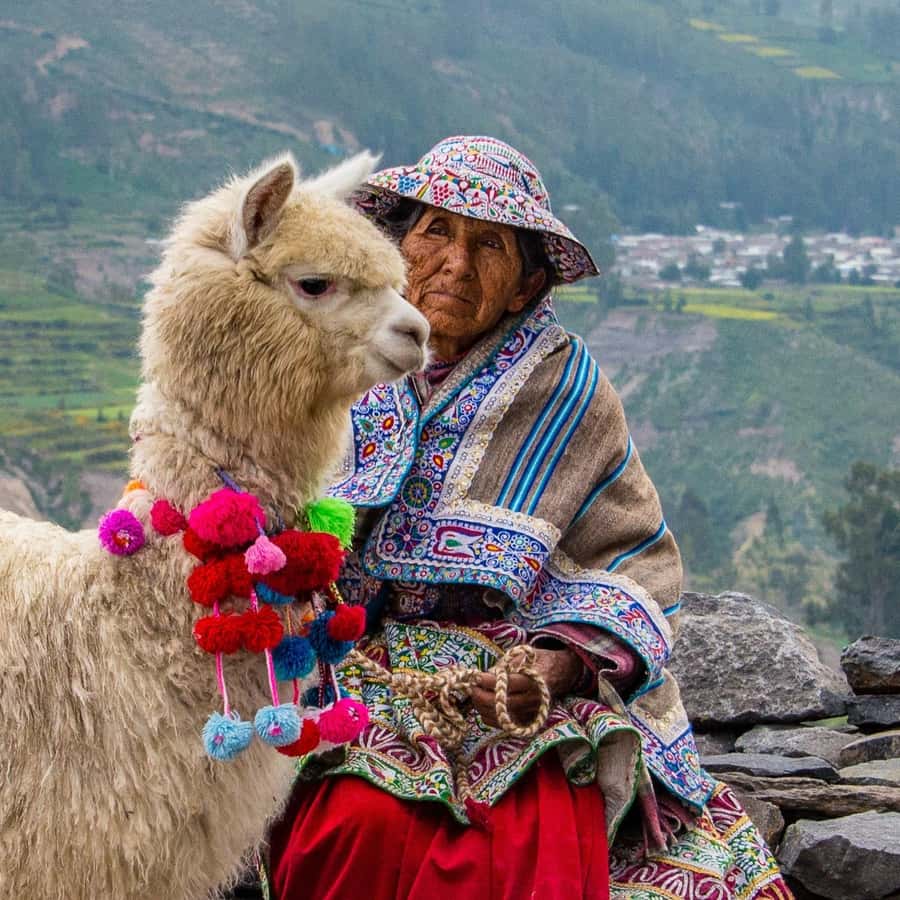 From Puno to Arequipa: 2 Days/1 Night Colca Canyon Tour - Day 2, Colca Canyon and condors: where the magic is supposed to happen