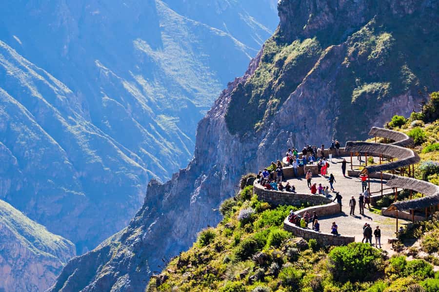 From Puno to Arequipa: 2 Days/1 Night Colca Canyon Tour - Day 1, Puno to Chivay: high-altitude views and animal time