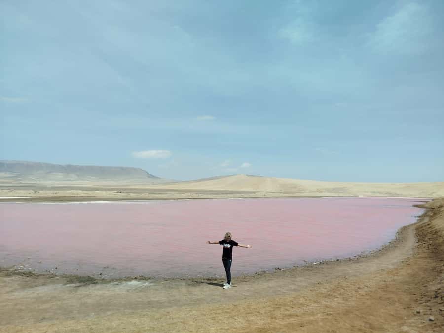From San Martin Port: Ballestas Island & Paracas Reserve - Key highlights you will feel right away
