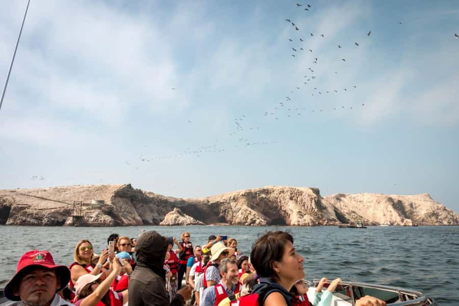 From San Martin Port: Ballestas Island & Paracas Reserve - Ballestas Islands by speedboat, with Candelabro on the way