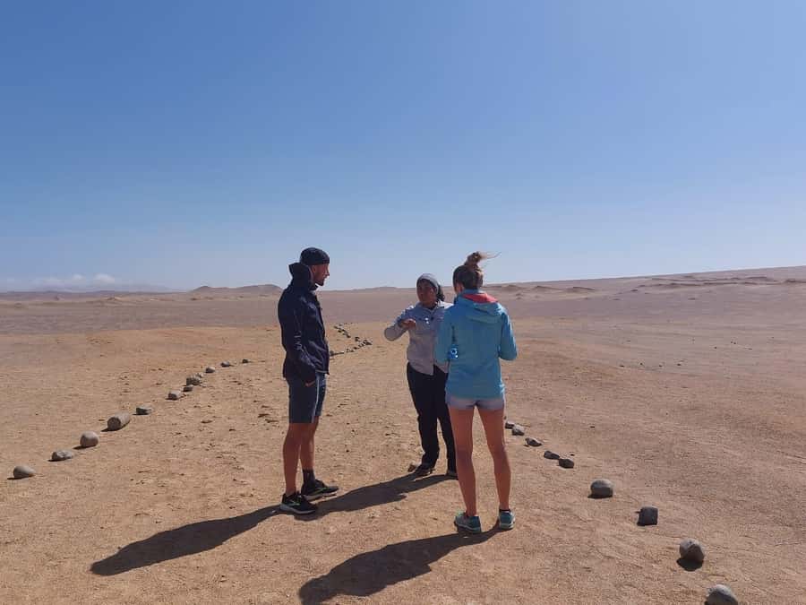 From San Martin Port: Ballestas Island & Paracas Reserve - Who this tour suits best, and who should skip it