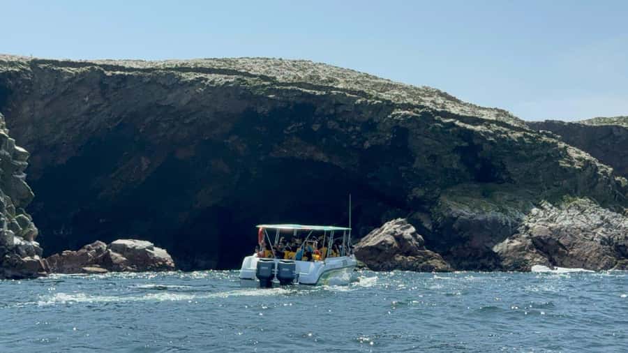 From San Martin Port: Ballestas Islands Tour in Paracas - Passing the Candelabro: the ancient Peru detail you’ll remember
