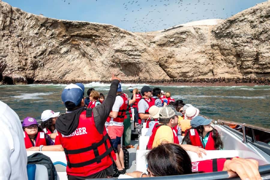 From San Martin Port: Ballestas Islands Tour in Paracas - Guano and the economy story: why the birds matter beyond cuteness