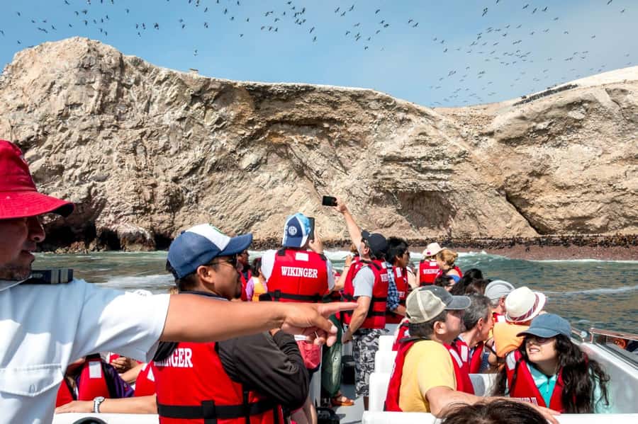 From San Martin Port: Ballestas Islands Tour in Paracas - Who this tour is best for, and who should skip it