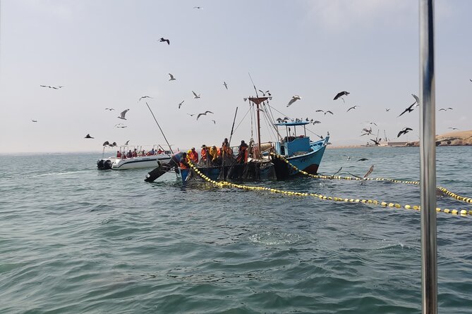 From TPP Pisco: Islands Tours & Paracas Reserve all Inclusive - Paracas town break: shopping, selfies, and a bit of self-guided wandering