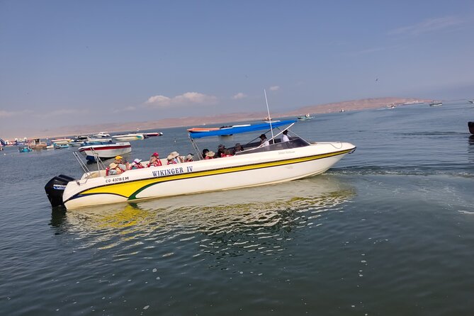 From TPP Pisco: Islands Tours & Paracas Reserve all Inclusive - Price and value: what $95 includes and why it works for port days