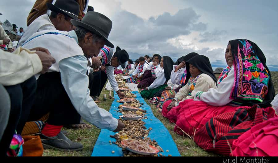 FromPuno: Uros and Amantani Islands Full-Day Tour with Lunch - Key things I’d plan around