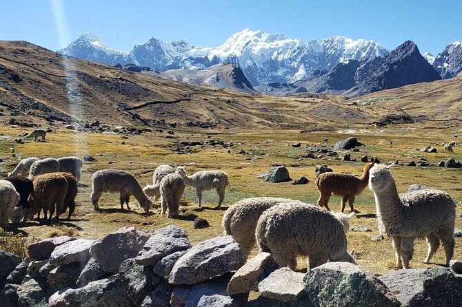 Full Day Ausangate 7 Lakes Hike from Cusco - Nevado Ausangate hike: the seven lagoons circuit you came for