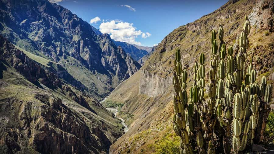 Full-Day Colca Canyon Tour from Arequipa - Lunch in Chivay and a chance to walk the little streets