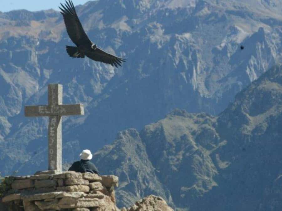 Full-Day Colca Canyon Tour from Arequipa - Chivay breakfast and the approach into Pampa Cañahuas