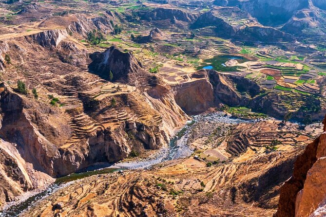 Full-Day Colca Canyon Tour with Lunch - Patapampa at 4,910 m: volcano views and wildlife time around the wetlands