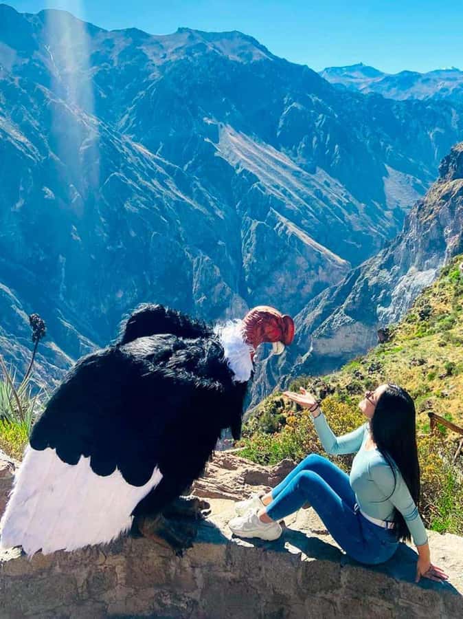 Full day excursion to Colca Canyon - Key things to know before you go