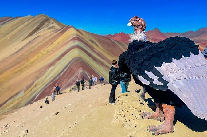 Full Day Hiking Tour in Rainbow Mountain Vinicunca Cusco - Price and value: why $62 feels fair for what’s included