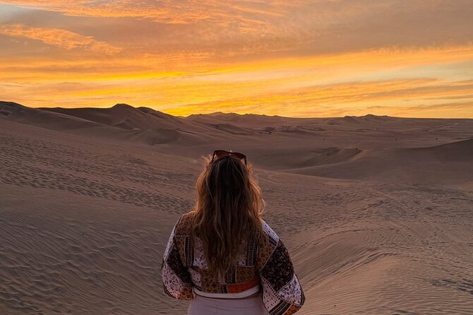 Full day Huacachina from Lima Buggy and Sandboard and Lunch - Paracas and the Ballestas Islands: Speedboat Views, Sea Birds, and the Candlestick