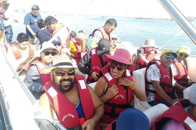 Full Day Islands Crossbows, Paracas and Oasis Huacachina in Ica - Key highlights you should know