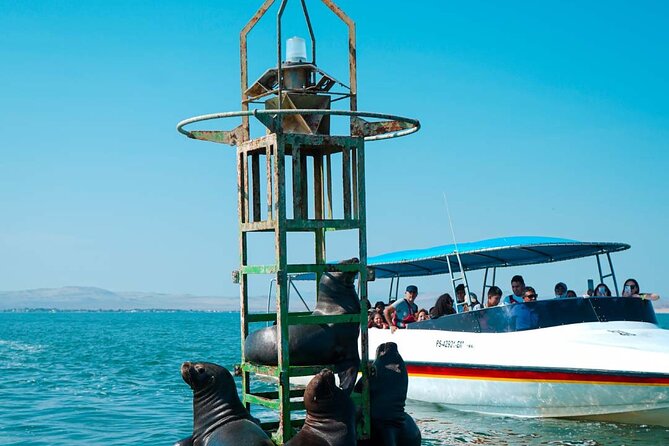 Full Day Lima Paracas & Adrenaline Tour in Huacachina - The big idea: one day, three worlds (coast, vineyards, dunes)