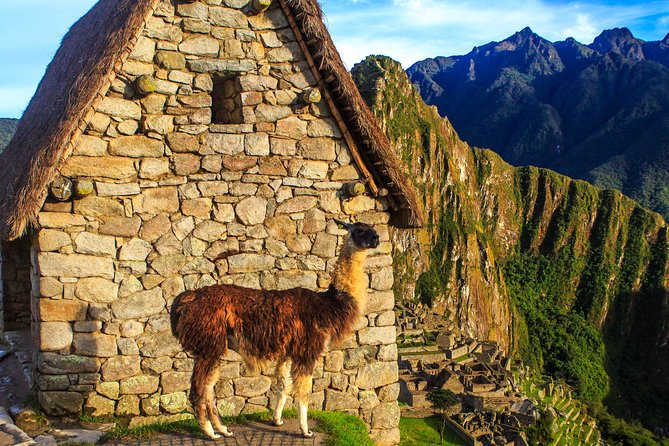 Full Day - Machu Picchu tour by Train - Group Service - Return to Cusco: Poroy station, the ride back, and decompress time