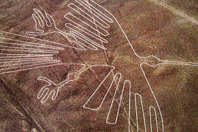 Full Day Nazca Lines, Huacachina Oasis with Buggy and Sandboard - Price and value: what the $360 covers, and what you should budget for