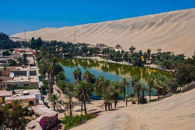Full Day Paracas - Ica - Oasis Huacachina - Ica winery stop for pisco sour and wine tasting