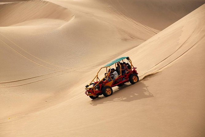 Full Day Paracas - Ica - Oasis Huacachina - What the private format really changes for your day