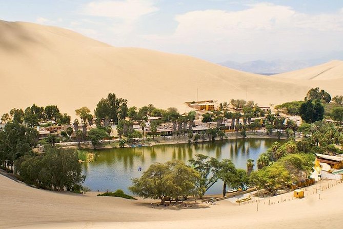 Full Day Paracas - Ica - Oasis Huacachina - Who should book this Paracas, Ica, Huacachina day?