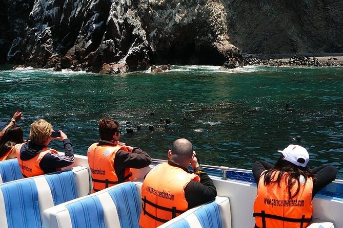 Full Day Paracas Islas Ballestas with Sandboarding and Dune Buggy - Price and value: what $85 actually buys you