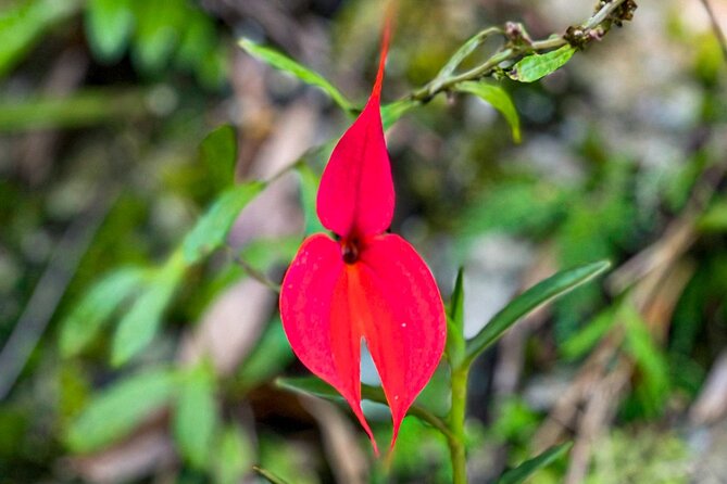 Full-Day Private Tour in Machupicchu with Expedition Train - Going Up to Machu Picchu: The Bus Ride and the First Guided Citadel Walk