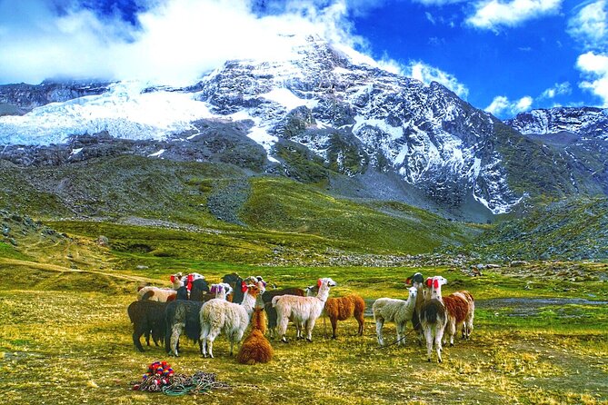 Full Day - Rainbow Mountain tour - Group Service - Cusco to Vinicunca at 4:00 am: The Morning Road Trip