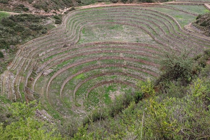 Full Day:Sacred valley,Alpaca farm,Maras,Moray and Ollantaytambo - Salinas de Maras: pink salt terraces in about 45 minutes