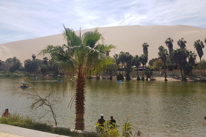 Full day to Paracas & Huacachina from Lima with Ballestas island & Sand boarding - Guides and how personality changes the experience