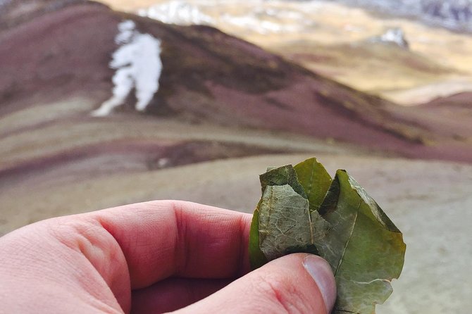 Full-Day Tour and Hike to Rainbow Mountain from Cusco, Peru - Qollasuyo, Checacupe, and breakfast at Pitumarka