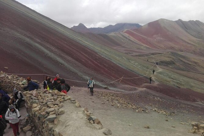 Full-Day Tour and Hike to Rainbow Mountain from Cusco, Peru - Camelids, condors, and what to watch for up high