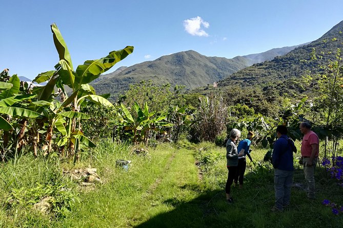 Full-Day Tour: Cacao farm experience in the jungle of Cusco - Key things to know before you go