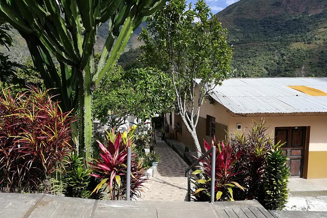 Full-Day Tour: Cacao farm experience in the jungle of Cusco - Why this Cusco cacao farm day feels different than a typical tour