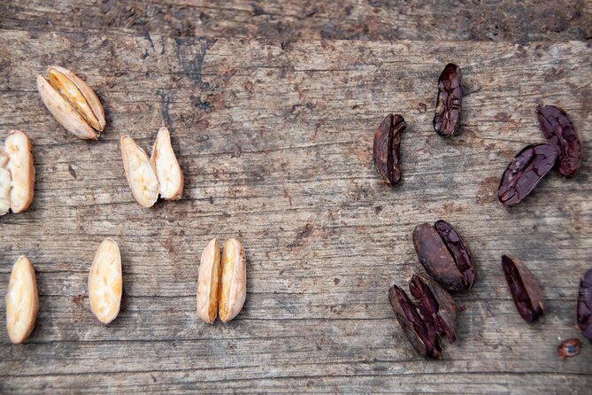Full-Day Tour: Cacao farm experience in the jungle of Cusco - Lunch, drinks, and what you should expect to pay for yourself