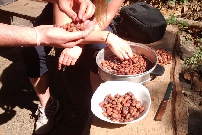 Full-Day Tour: Cacao farm experience in the jungle of Cusco - Timing, altitude change, and how to pack like a grown-up