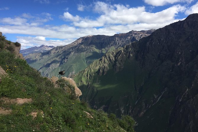 Full Day Tour / Colca Canyon - The Colca Canyon stop: where the depth lives on, but your view is from above