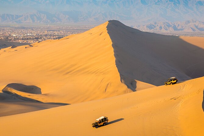 Full Day Tour From Lima: Paracas and Huacachina Oasis - Ica pisco vineyard tasting: the thoughtful pause between sea and sand