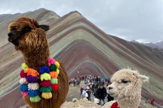 Full Day Tour in ATV by Montana 7 Colores Cusco - Vinicunca Expectations: Access, Height, and the Extra Cost Question