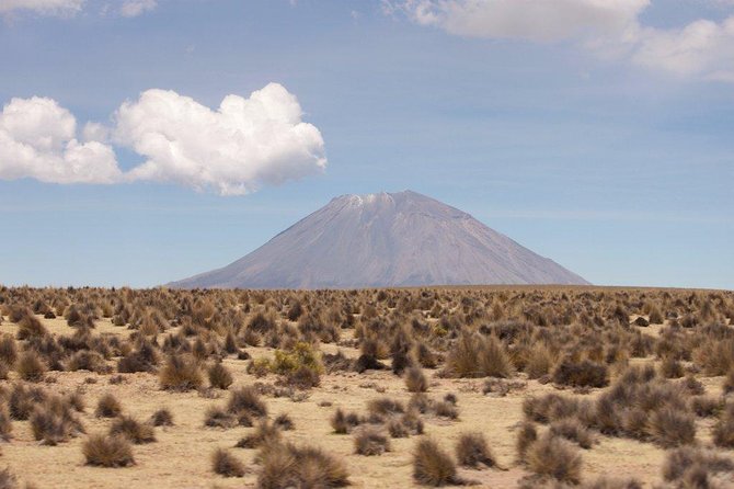 Full Day Tour Including Transfer to Puno / Colca Canyon - Salinas y Aguada Blanca National Reserve: volcano views and camelids