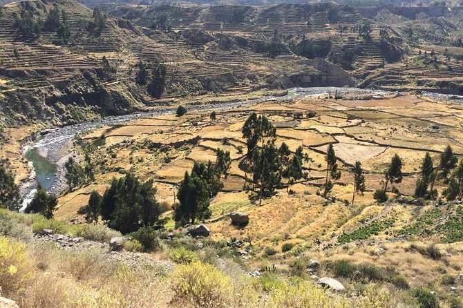 Full Day Tour Including Transfer to Puno / Colca Canyon - What the long-day reality feels like, and how to travel smarter